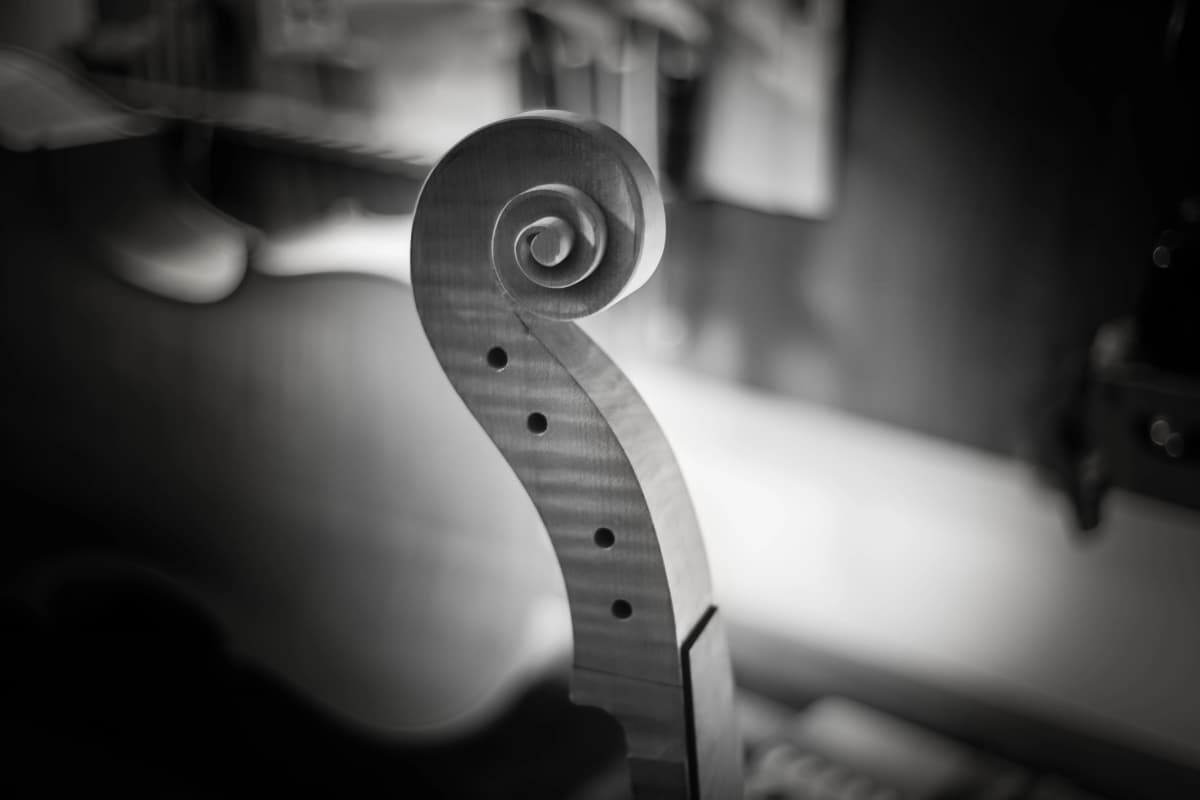 Instrument crafted by Ivo Iuliano