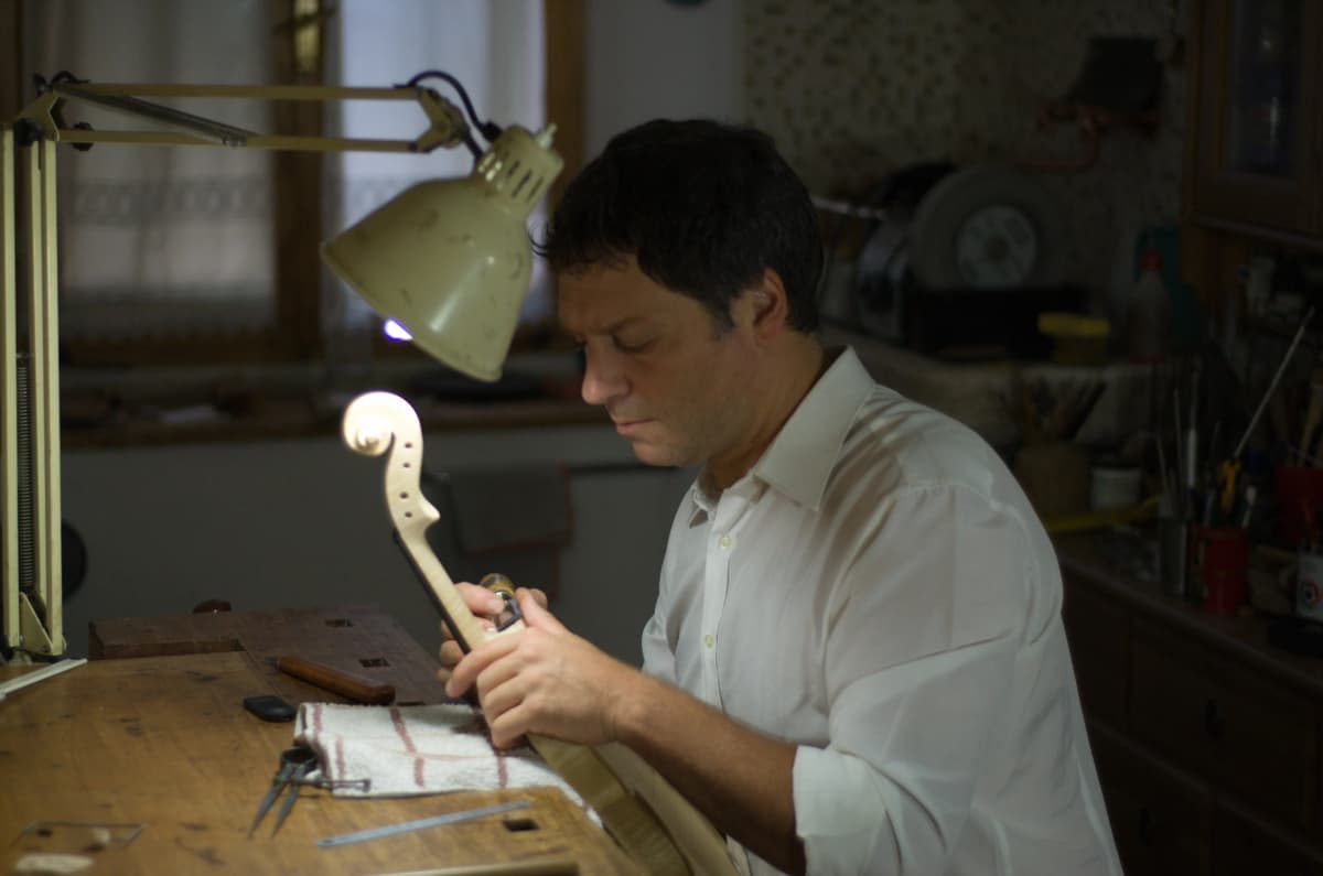 Cello by Ivo Iuliano