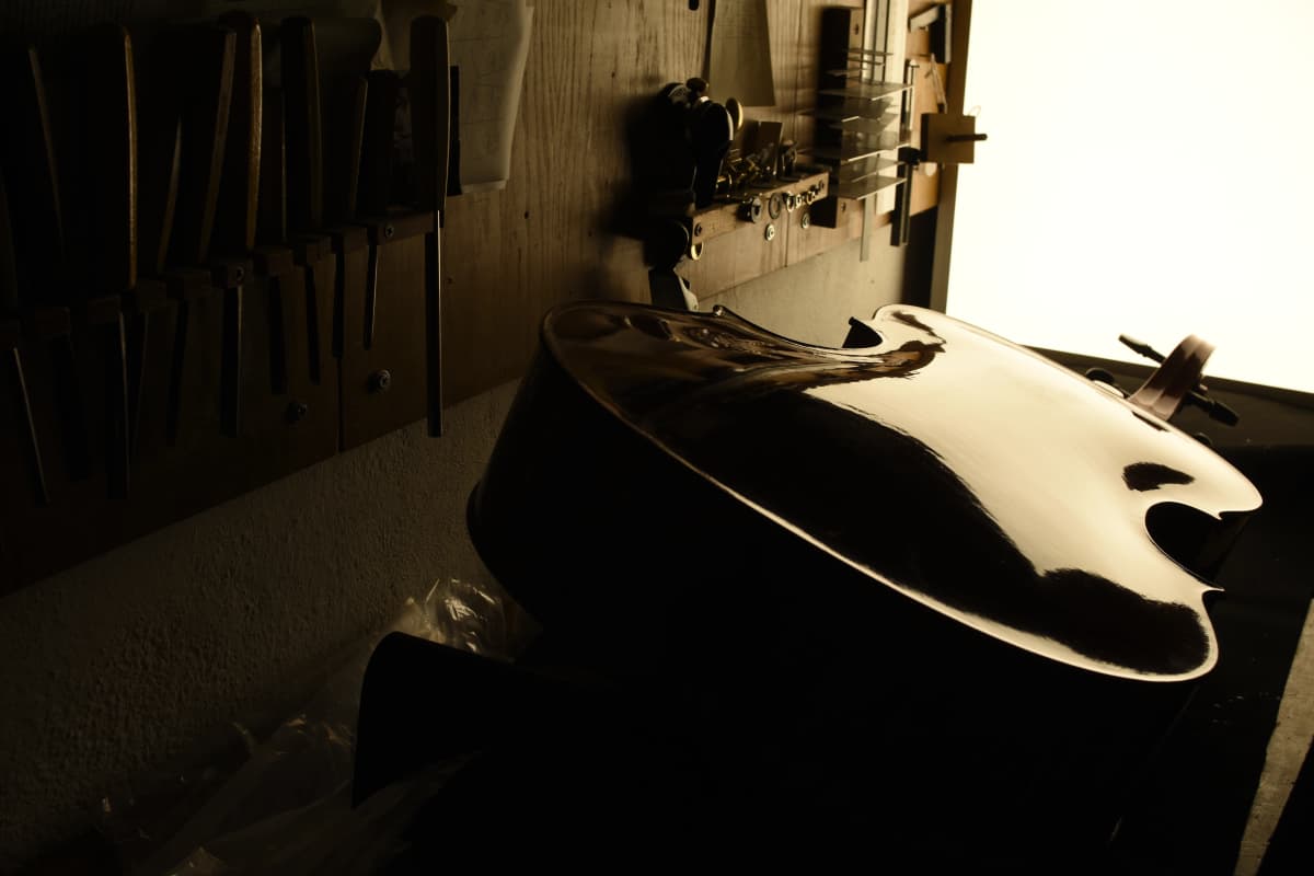 Workshop - Ivo Iuliano